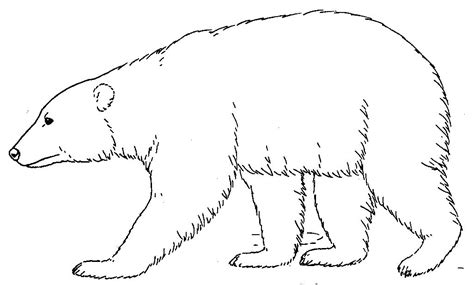 polar bear clip art free - Clip Art Library