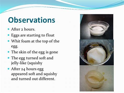 Egg osmosis experiment