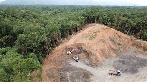 Empty, Toothless Pledges to End Deforestation by 2030 at COP26 - Left Voice