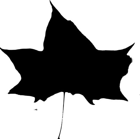 Clipart - Fall Beijing Leaves black stencil 4