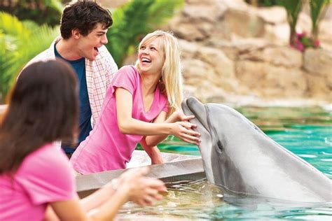 Dolphin Cove | SeaWorld Orlando Discount Tickets | Undercover Tourist