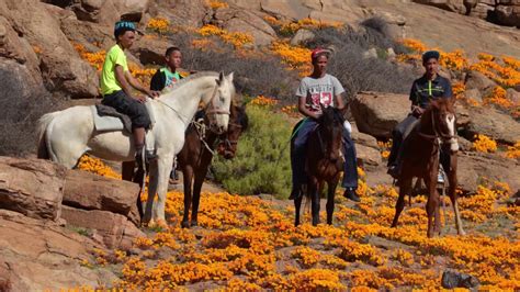 Northern Cape Tourism Authority at Meetings Africa 2017 - YouTube