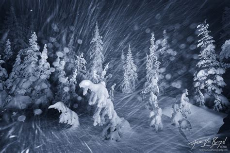 Creative Images of Winter | Art in Nature Photography