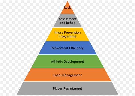 Levels Of Organization Pyramid