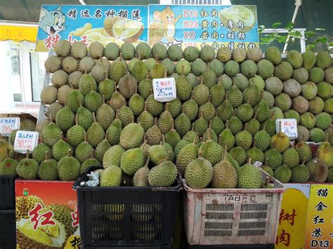 Honest Geylang Durian 36 Singapore. Don't Sell Cheap but Won't Cheat You |Tony Johor Kaki ...