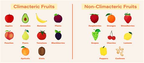 Stay Fresh: Ways to Control Fruit Ripening | DPO International