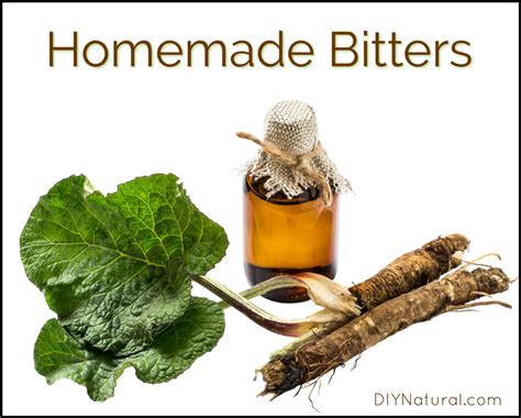 Homemade Bitters: For Medicinal and Culinary Uses