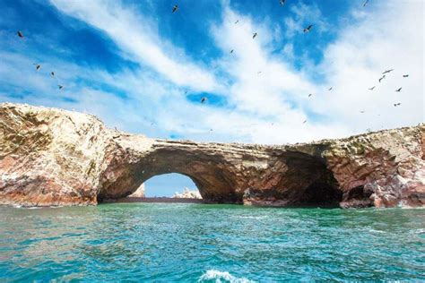 The BEST Paracas Tours and Things to Do in 2022 - FREE Cancellation ...