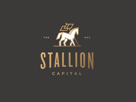 Stallion Capital | Saint Vincent by ampersandrew on Dribbble