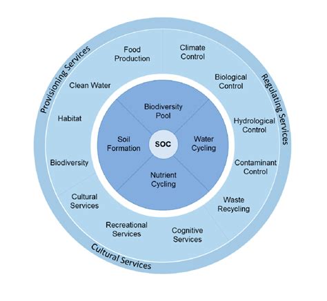 Soil functions (inner circle) and ecosystem services (outer circle ...