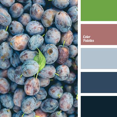 plum blue | Color Palette Ideas