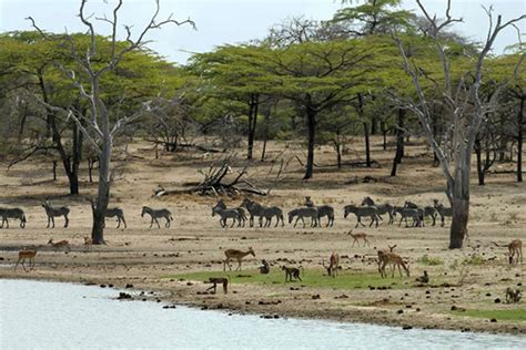 Trip to Africa’s largest wildlife protected area | Nation