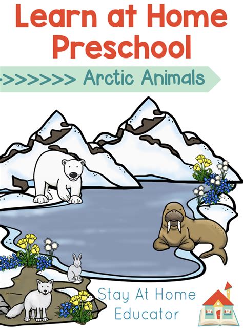 Free Arctic Animals Preschool Lesson Plans - Stay At Home Educator