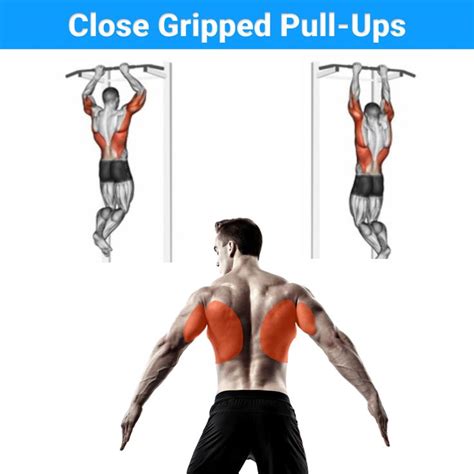 Close Gripped Pull-Ups | Back exercises, Good back workouts, Back workout men