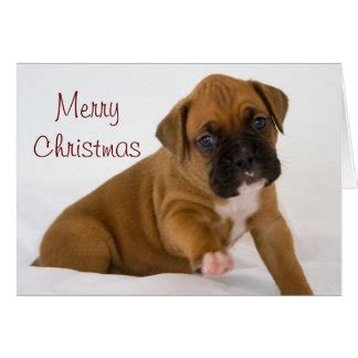 Boxer Dog Christmas Cards - Invitations, Greeting & Photo Cards | Zazzle