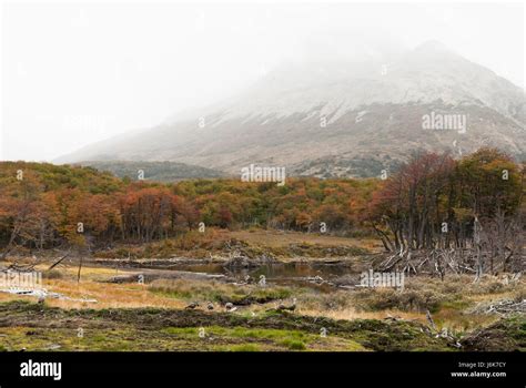 Ushuaia, Argentina, South America Stock Photo - Alamy