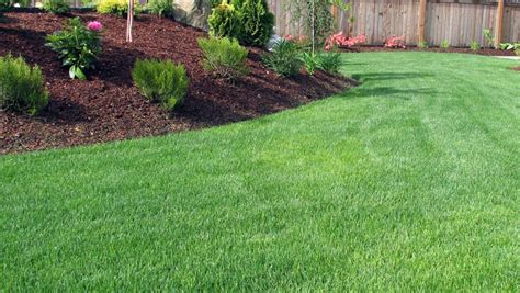 Knowing the Difference Between Landscape and Lawn Care Services Will Help You Choose the Right ...