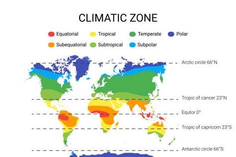 90+ World Climate Zone Map Stock Photos, Pictures & Royalty-Free Images - iStock