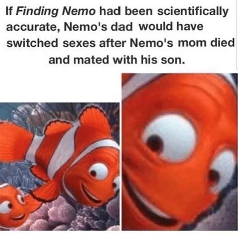 If Finding Nemo had been scientifically accurate, Nemo's dad would have ...