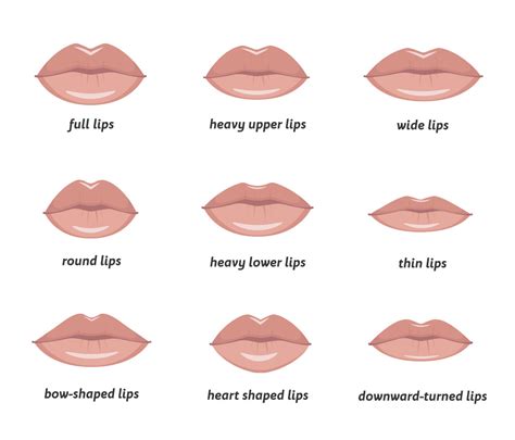 Best Lip Shapes For Your Face | Indulgence Med Spa [Pictures]