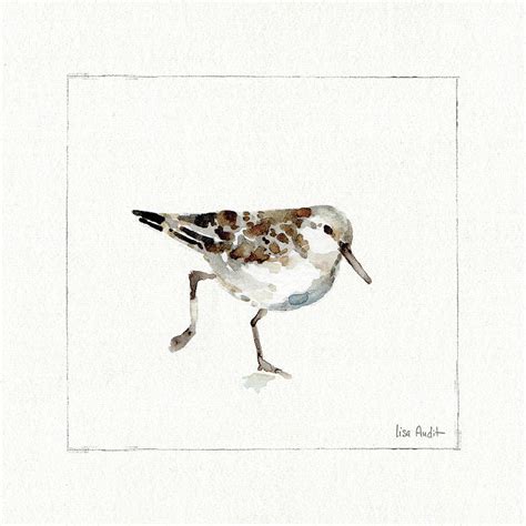 Pebbles And Sandpipers II No Words Painting by Lisa Audit - Fine Art America