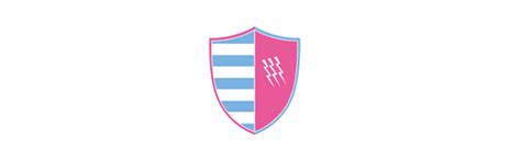 Rugby- Fusion du Racing 92 et du Stade Français Paris ("Plus forts ensemble") - SportBuzzBusiness.fr