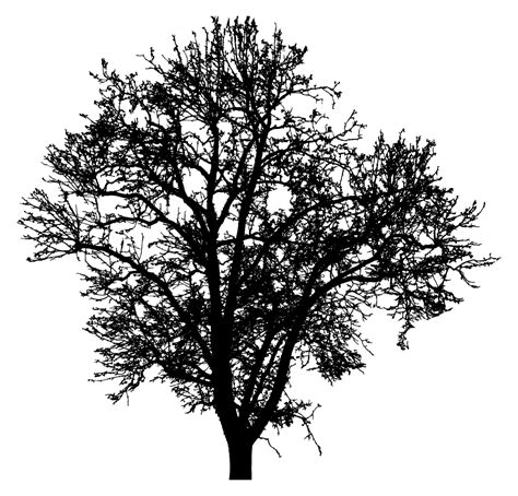 OnlineLabels Clip Art - Barren Tree Silhouette 4