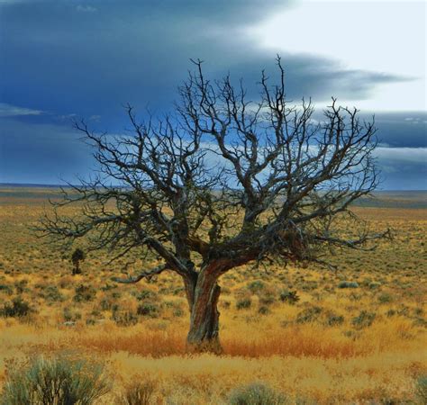 Eastern Oregon High Desert | Smithsonian Photo Contest | Smithsonian Magazine