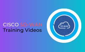 Cisco SD WAN Training » Viptela, ISR, Lab & Production