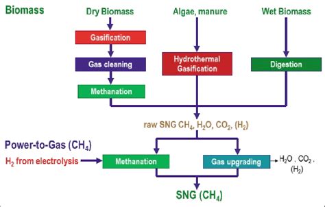 Different pathways from biomass to Synthetic Natural Gas (SNG ...