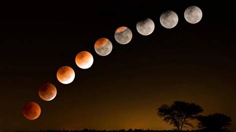 The Spectacular Lunar Eclipse of 2023 - All World Day