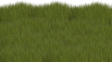 Grass Texture Seamless Png Artwork