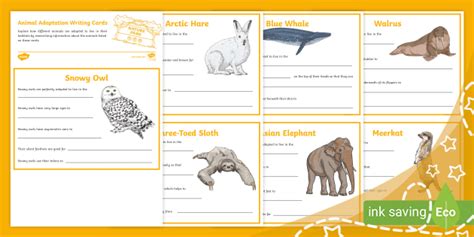 Animal Adaptations Writing Cards (Teacher-Made)