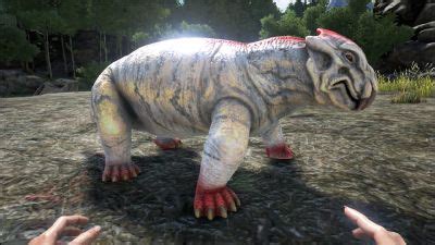 Lystrosaurus - Official ARK: Survival Evolved Wiki