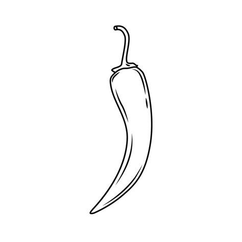 Chili pepper outline. Icon. Vector illustration. 6685055 Vector Art at Vecteezy