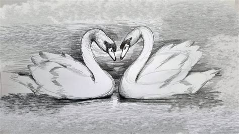 How to draw two swans by pencil | easy swan drawing with shades ...