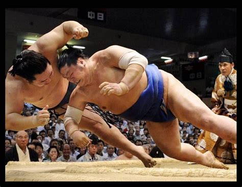 Pin by Babilonia * on SUMO | Japan photo, Sumo wrestler, Japan