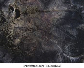 Cherry Tree Wood Texture Stock Photo 1302181303 | Shutterstock