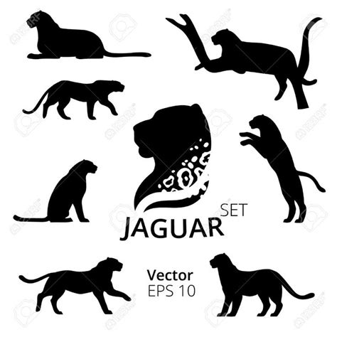 Image result for jaguar silhouette | Geometric poster design, Geometric poster, Poster design