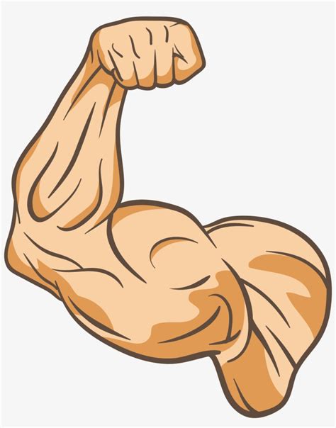 Muscle Clip Art - Muscle Clip Art Png - 2363x2898 PNG Download - PNGkit