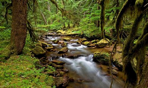 Lost Creek Trail, Oregon - AllTrips