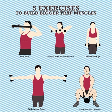 Top 5 Exercises To Build Bigger Trap Muscles | Traps muscle, Traps ...