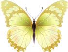 Butterfly PNG Clip Art Transparent Image | Gallery Yopriceville - High-Quality Free Images and ...