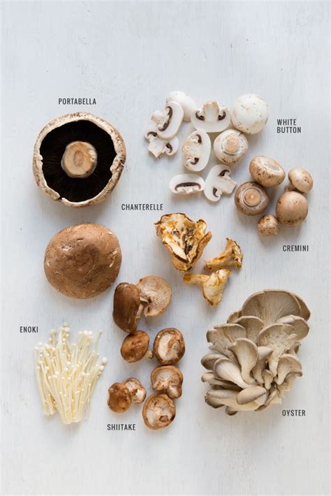 Are you using the right mushroom for your recipe – Artofit