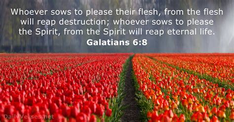 Galatians 6:8 - Bible verse - DailyVerses.net