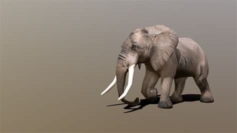 Elephant - Download Free 3D model by Rukh3D [4ae1613] - Sketchfab