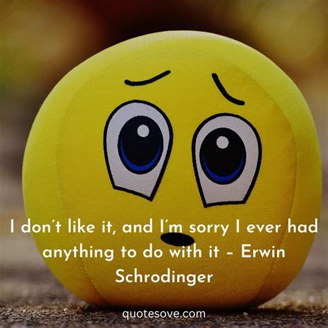 101+ Best Sorry Quotes, And Sayings » QuoteSove
