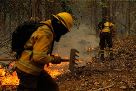 Chile Fires 2024 - Liuka Prissie