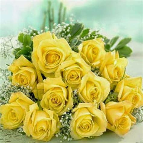 Birthday Flowers Yellow Roses Images | Many Flowers