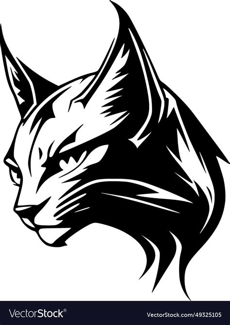 Wildcat - high quality logo ideal for t-shirt Vector Image